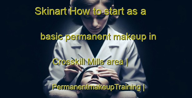 Skinart How to start as a basic permanent makeup in Crosskill Mills area | PermanentmakeupTraining | PermanentmakeupClasses | SkinartTraining-United States